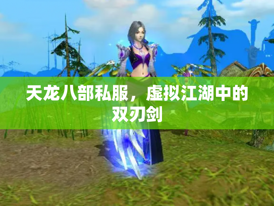 天龙八部私服，虚拟江湖中的双刃剑