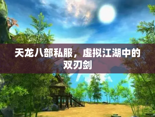 天龙八部私服，虚拟江湖中的双刃剑