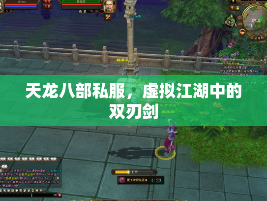 天龙八部私服，虚拟江湖中的双刃剑