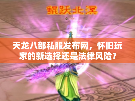 天龙八部私服发布网，怀旧玩家的新选择还是法律风险？