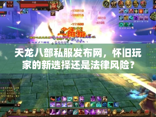 天龙八部私服发布网，怀旧玩家的新选择还是法律风险？