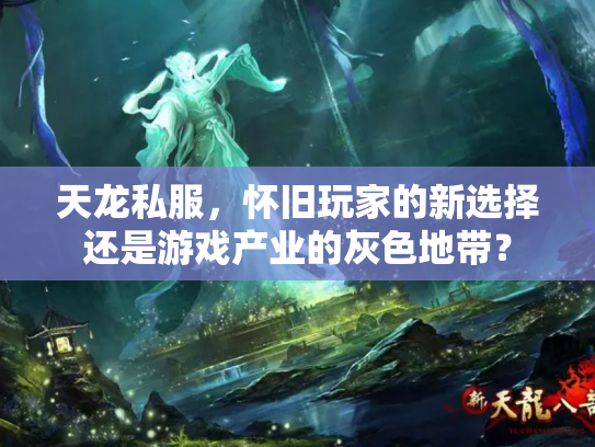 天龙私服，怀旧玩家的新选择还是游戏产业的灰色地带？