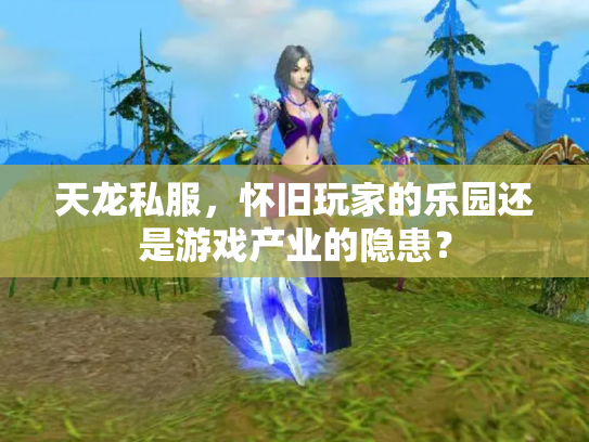 天龙私服，怀旧玩家的乐园还是游戏产业的隐患？