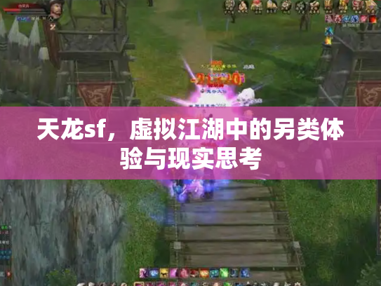 天龙sf，虚拟江湖中的另类体验与现实思考