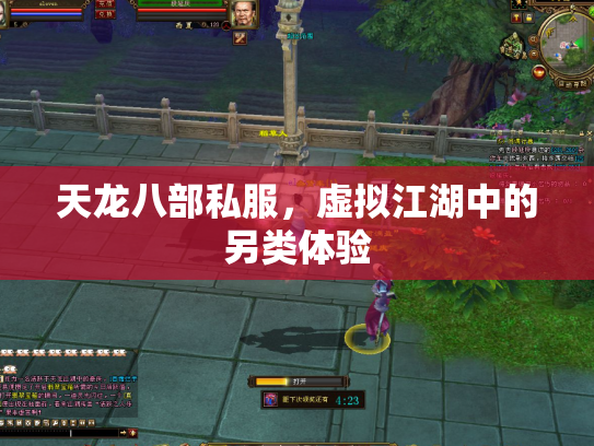 天龙八部私服，虚拟江湖中的另类体验