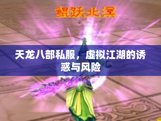 天龙八部私服，虚拟江湖的诱惑与风险
