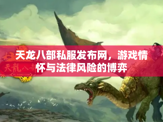 天龙八部私服发布网，游戏情怀与法律风险的博弈