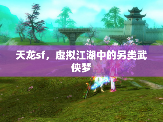 天龙sf，虚拟江湖中的另类武侠梦