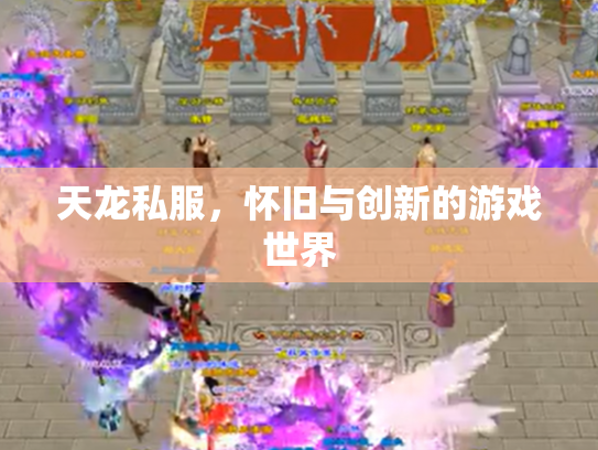天龙私服，怀旧与创新的游戏世界