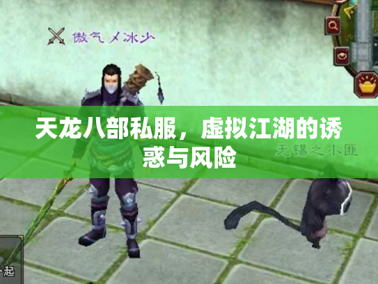 天龙八部私服，虚拟江湖的诱惑与风险