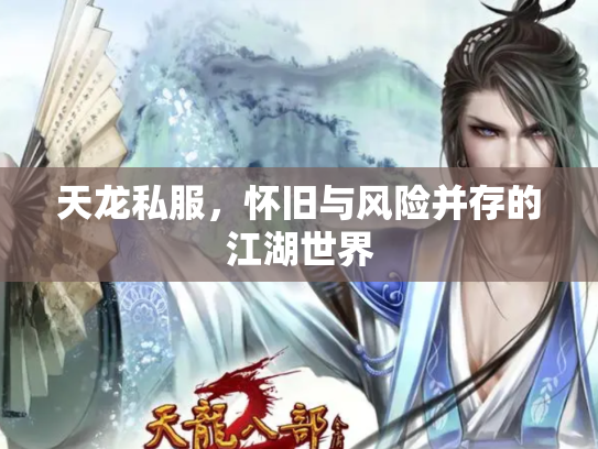 天龙私服，怀旧与风险并存的江湖世界