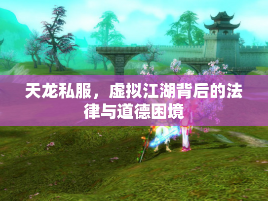 天龙私服，虚拟江湖背后的法律与道德困境