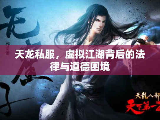 天龙私服，虚拟江湖背后的法律与道德困境