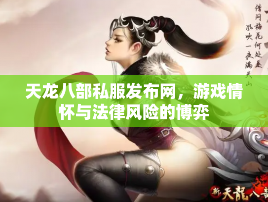 天龙八部私服发布网，游戏情怀与法律风险的博弈