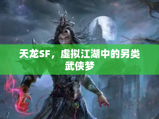 天龙SF，虚拟江湖中的另类武侠梦