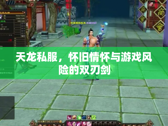 天龙私服，怀旧情怀与游戏风险的双刃剑