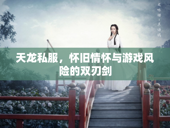 天龙私服，怀旧情怀与游戏风险的双刃剑