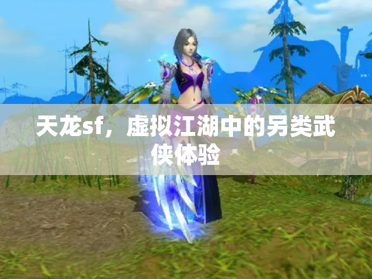 天龙sf，虚拟江湖中的另类武侠体验
