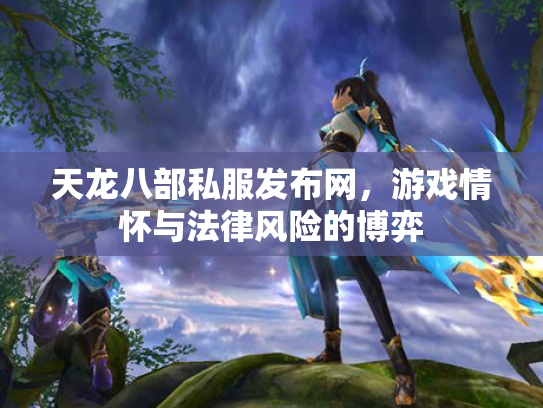 天龙八部私服发布网，游戏情怀与法律风险的博弈