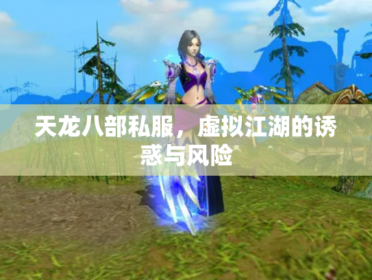 天龙八部私服，虚拟江湖的诱惑与风险