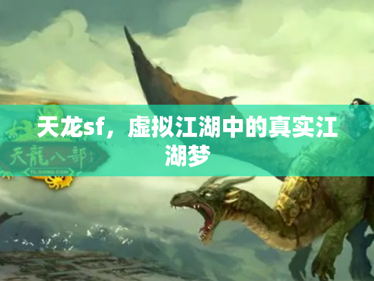 天龙sf，虚拟江湖中的真实江湖梦