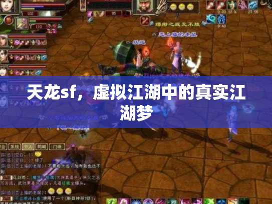 天龙sf，虚拟江湖中的真实江湖梦
