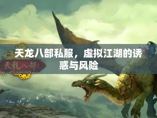 天龙八部私服，虚拟江湖的诱惑与风险