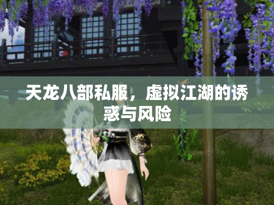 天龙八部私服，虚拟江湖的诱惑与风险