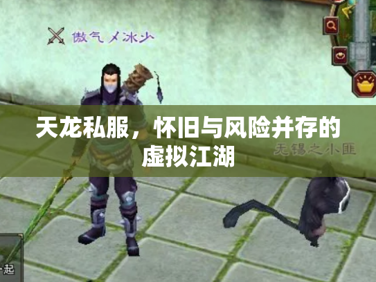 天龙私服，怀旧与风险并存的虚拟江湖