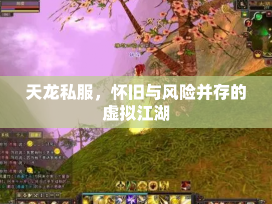 天龙私服，怀旧与风险并存的虚拟江湖