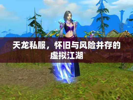 天龙私服，怀旧与风险并存的虚拟江湖