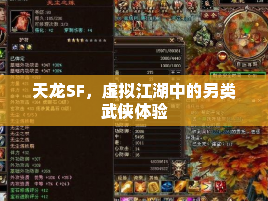 天龙SF，虚拟江湖中的另类武侠体验