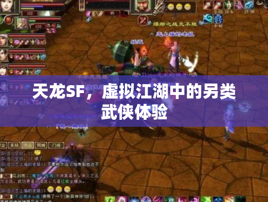 天龙SF，虚拟江湖中的另类武侠体验