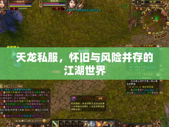天龙私服，怀旧与风险并存的江湖世界