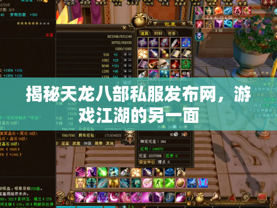 揭秘天龙八部私服发布网，游戏江湖的另一面