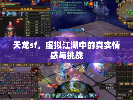 天龙sf，虚拟江湖中的真实情感与挑战