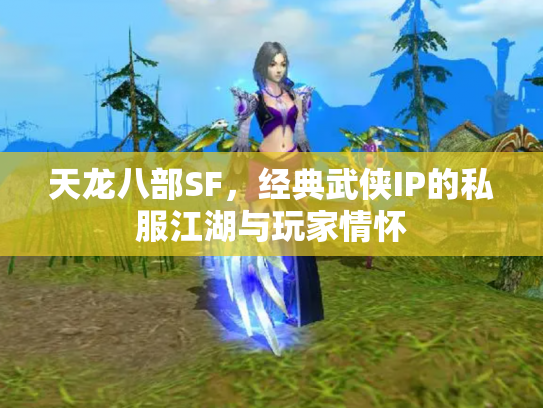 天龙八部SF，经典武侠IP的私服江湖与玩家情怀