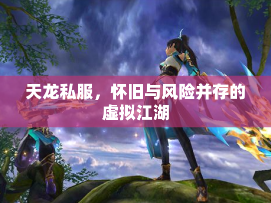 天龙私服，怀旧与风险并存的虚拟江湖