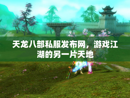 天龙八部私服发布网，游戏江湖的另一片天地