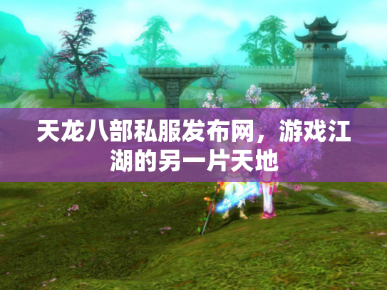 天龙八部私服发布网，游戏江湖的另一片天地
