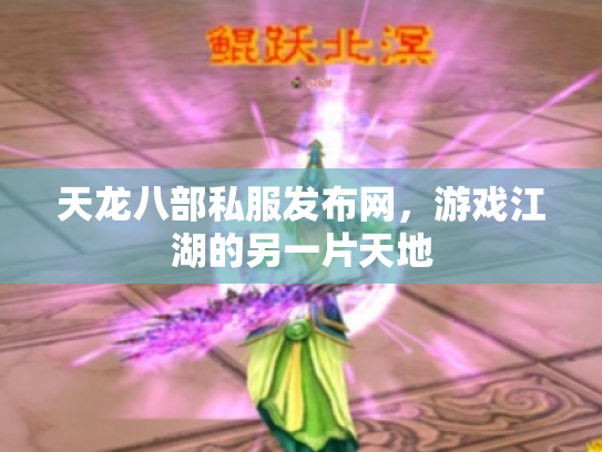 天龙八部私服发布网，游戏江湖的另一片天地