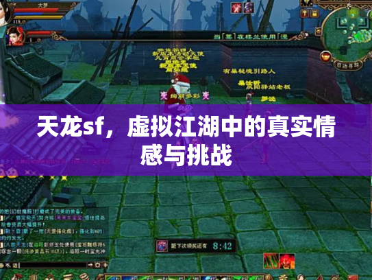 天龙sf，虚拟江湖中的真实情感与挑战