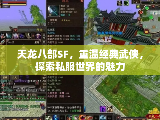 天龙八部SF，重温经典武侠，探索私服世界的魅力
