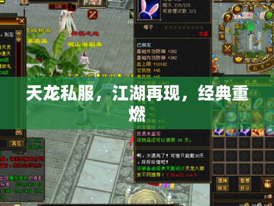 天龙私服，江湖再现，经典重燃
