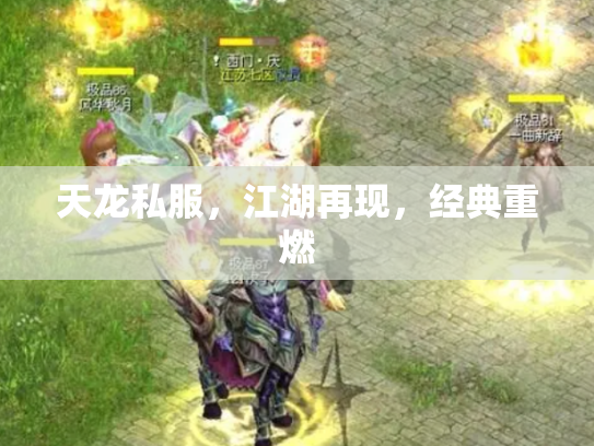 天龙私服，江湖再现，经典重燃