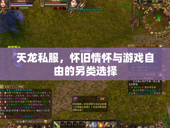 天龙私服，怀旧情怀与游戏自由的另类选择