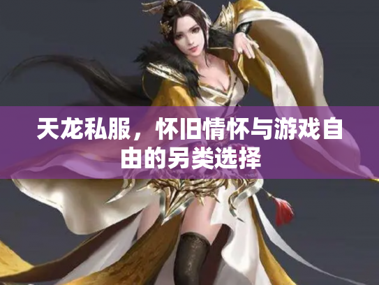 天龙私服，怀旧情怀与游戏自由的另类选择