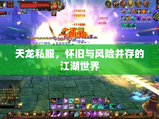天龙私服，怀旧与风险并存的江湖世界