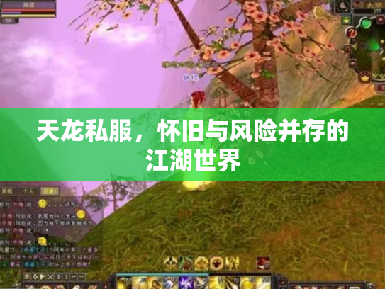 天龙私服，怀旧与风险并存的江湖世界