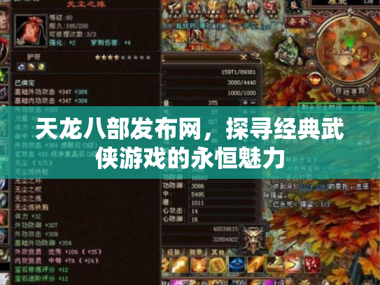 天龙八部发布网，探寻经典武侠游戏的永恒魅力